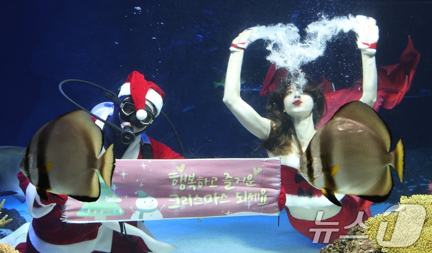 본문 이미지 - 크리스마스를 사흘 앞둔 22일 경기 수원시 영통구 아쿠아플라넷 광교에서 산타 의상을 입은 아쿠아리스트들이 크리스마스 인사를 하고 있다. 2025.12.22/뉴스1 ⓒ News1 김영운 기자
