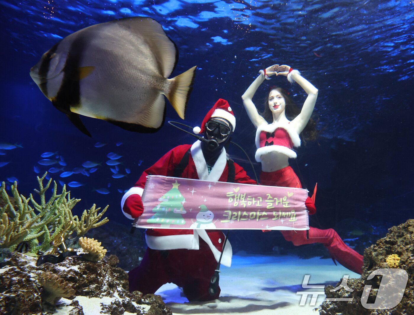본문 이미지 - 크리스마스를 사흘 앞둔 22일 경기 수원시 영통구 아쿠아플라넷 광교에서 산타 의상을 입은 아쿠아리스트들이 크리스마스 인사를 하고 있다. 2025.12.22/뉴스1 ⓒ News1 김영운 기자