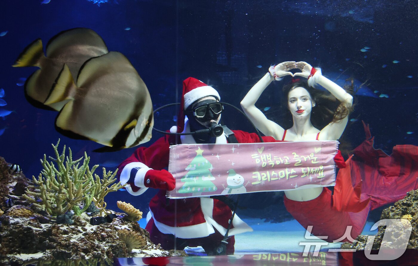 본문 이미지 - 크리스마스를 사흘 앞둔 22일 경기 수원시 영통구 아쿠아플라넷 광교에서 산타 의상을 입은 아쿠아리스트들이 크리스마스 인사를 하고 있다. 2025.12.22/뉴스1 ⓒ News1 김영운 기자