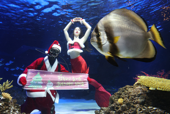 메리 크리스마스