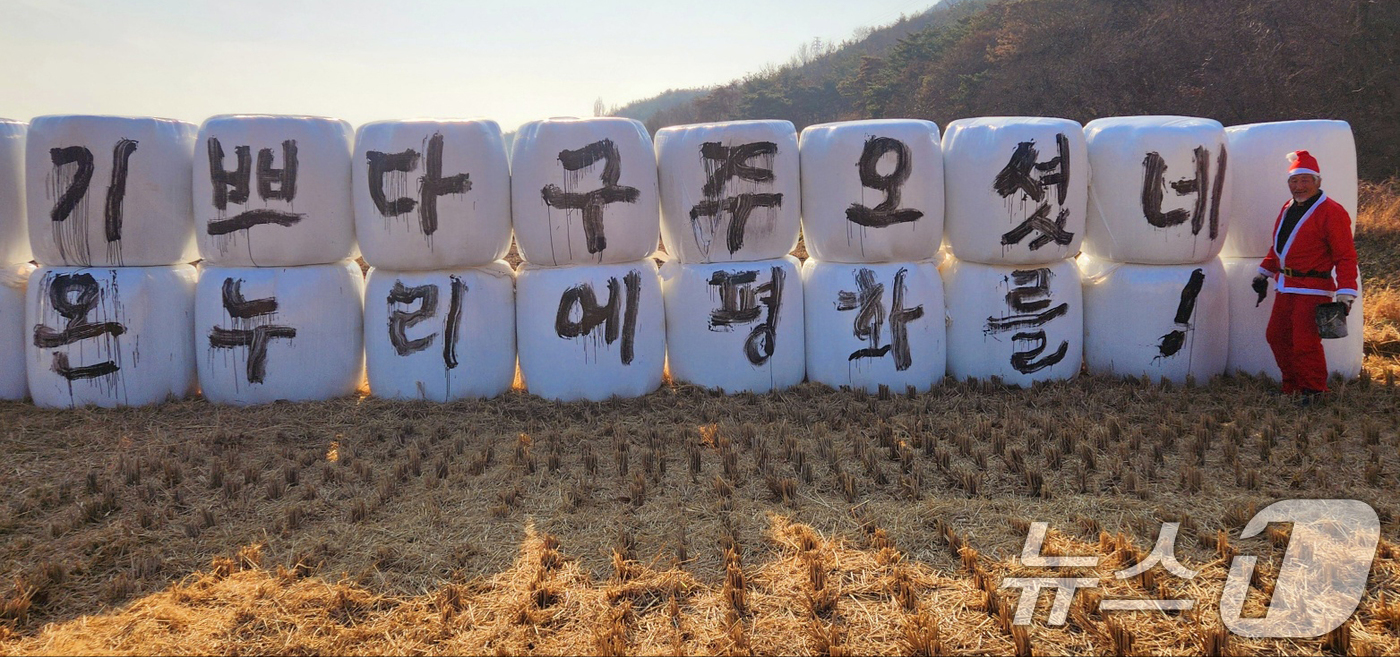 (포항=뉴스1) 최창호 기자 = 서예가 김동욱 씨가 22일 경북 포항시 북구 기계면 인비리 들녘에 있는 곤포사일지리 위에 성탄절 퍼포먼스를 하고 있다.  2025.12.22/뉴스1 …