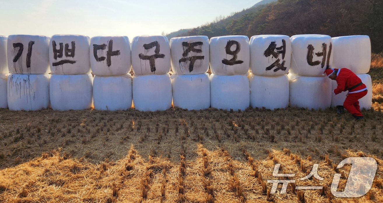 (포항=뉴스1) 최창호 기자 = 서예가 김동욱 씨가 22일 경북 포항시 북구 기계면 인비리 들녘에 있는 곤포사일지리 위에 성탄절 퍼포먼스를 하고 있다. 2025.12.22/뉴스1