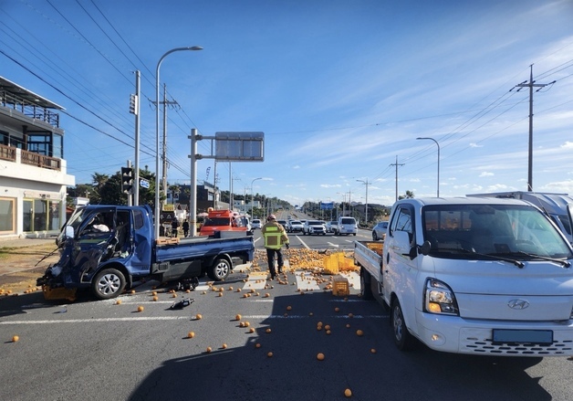 제주서 감귤 나르던 트럭 충돌…2명 병원 이송