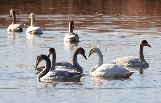 [오늘의 날씨] 부산·경남(23일, 화)…최저 -5도, 늦은 오후부터 비