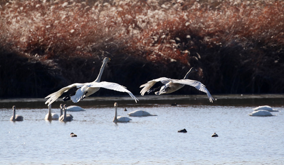 [오늘의 날씨] 경기(23일, 화)…아침 영하 5도 '뚝'