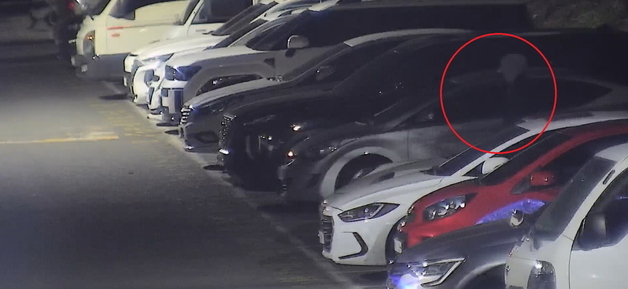 울산서 한밤 중 차량털이 시도…CCTV에 덜미