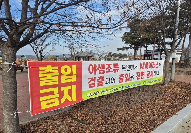 봉화 산란계 농장서 'AI' 의심 개체 추가 발생…10만여마리 살처분