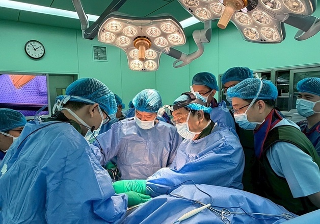 엘앤케이바이오메드, 베트남서 '높이확장형 케이지' 라이브 서저리