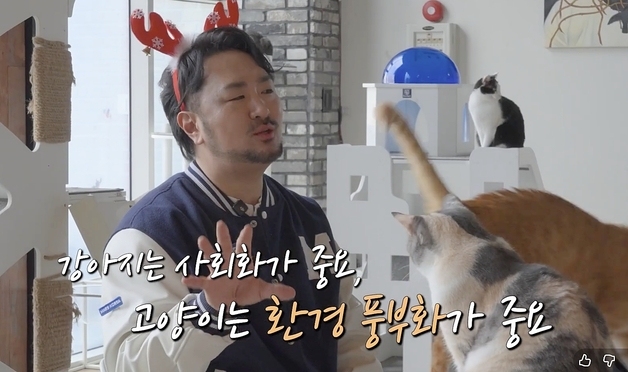 노령묘 돌봄의 핵심은…'수의사가 된 카더가든'의 현실 조언