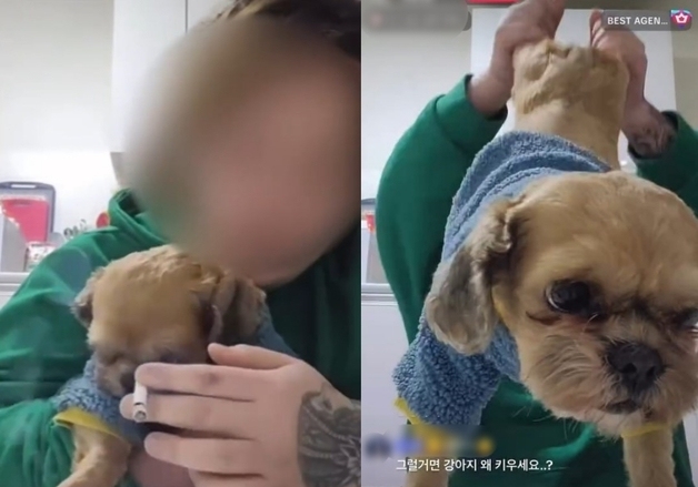 강아지 뒷다리 들어 흔들고 담배 연기 내뿜는 견주…동물학대 '공분'