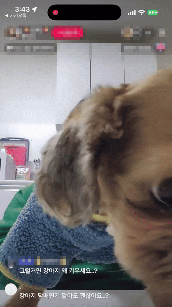 본문 이미지 - (SNS 갈무리)