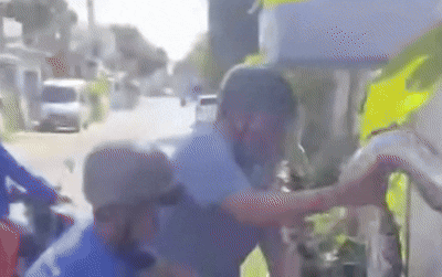 베트남 주택가 출몰 '4m 거대 비단뱀'…1시간 포획 소동[영상]