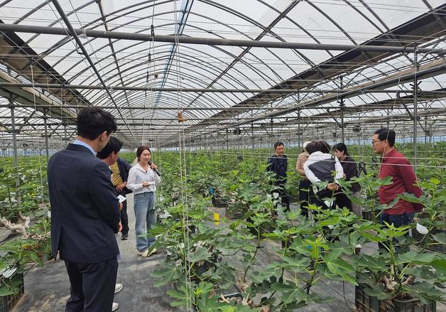 지명심 영암 무화과지도사, 전남농촌지도대상 최우수상