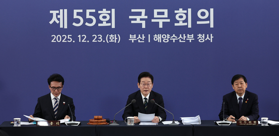 국무회의 발언하는 이재명 대통령