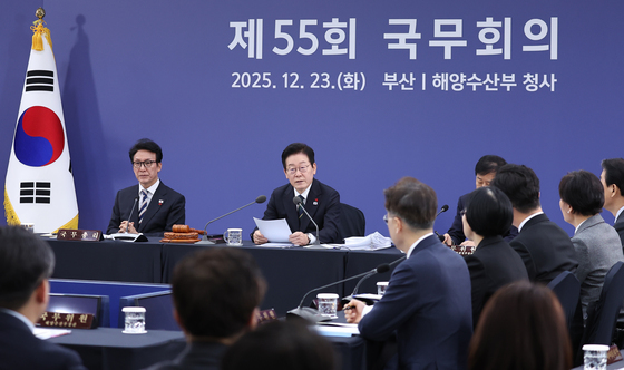 국무회의 발언하는 이재명 대통령