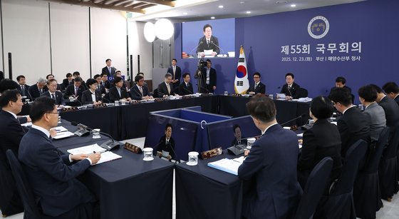 이재명 대통령, 국무회의 발언