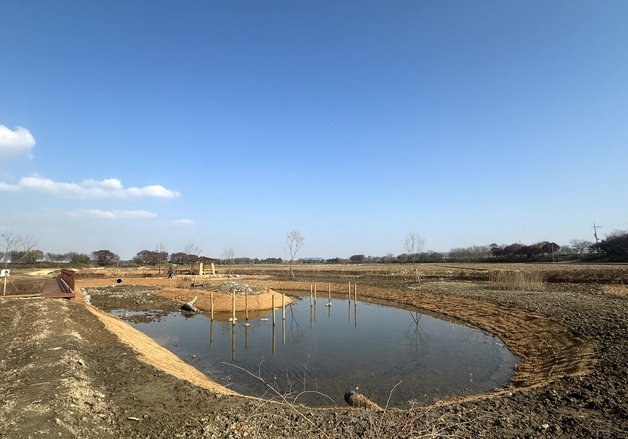 방치된 김제 벽골제 생태농경원 둠벙, 생태습지로 재탄생