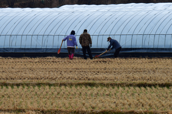 나프타 쇼크 농촌 확산, 비닐 원룟값 65%↑…정부 154억 '긴급 수혈'