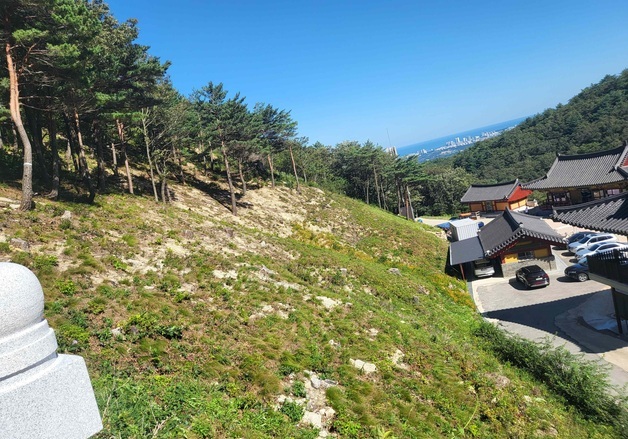 "건축물로부터 25m 이내 입목 임의벌채 가능" 시행령 개정안 통과
