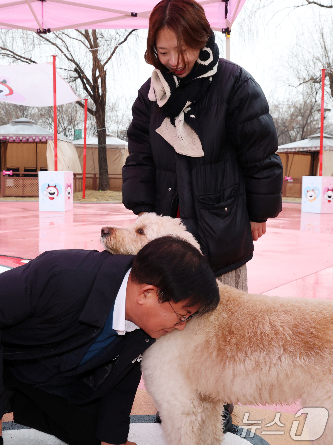 (서울=뉴스1) 김명섭 기자 = 박강수 마포구청장이 23일 서울 마포구 마포반려동물캠핑장에서 열린 댕댕이 크리스마스 페스타 주간 펫세권 마포 홍보견 '바오' 데뷔 데이 행사에서 ' …