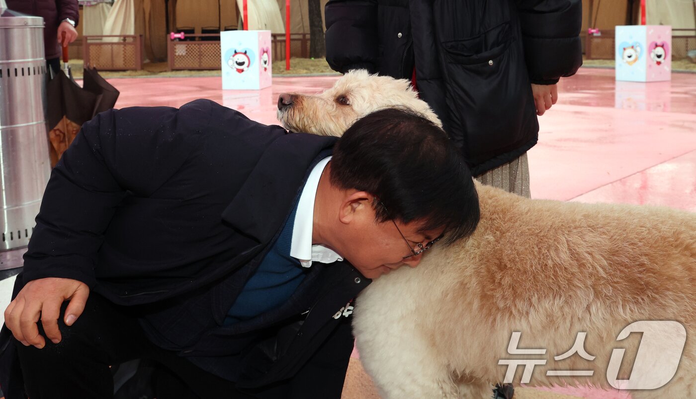 본문 이미지 - 박강수 마포구청장이 23일 서울 마포구 마포반려동물캠핑장에서 열린 댕댕이 크리스마스 페스타 주간 펫세권 마포 홍보견 '바오' 데뷔 데이 행사에서 '바오'와 교감하고 있다.. 2025.12.23/뉴스1 ⓒ News1 김명섭 기자