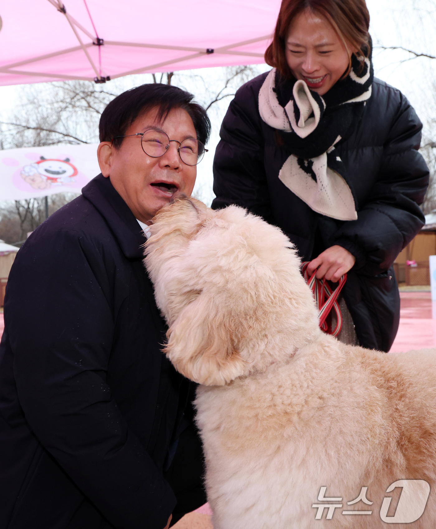 (서울=뉴스1) 김명섭 기자 = 박강수 마포구청장이 23일 서울 마포구 마포반려동물캠핑장에서 열린 댕댕이 크리스마스 페스타 주간 펫세권 마포 홍보견 '바오' 데뷔 데이 행사에서 ' …
