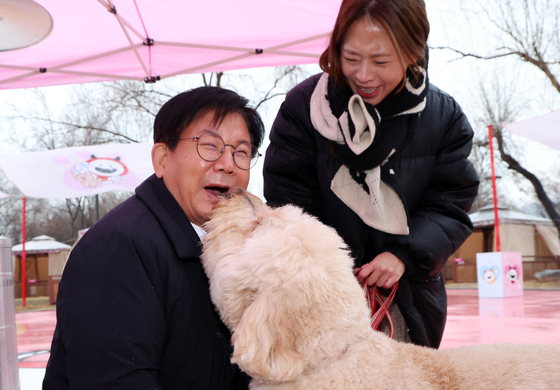마포반려동물캠핑장, 연말 맞아 댕댕이 크리스마스 페스타펫세권 마포 알리는 홍보견 바오, 크리스마스 데뷔