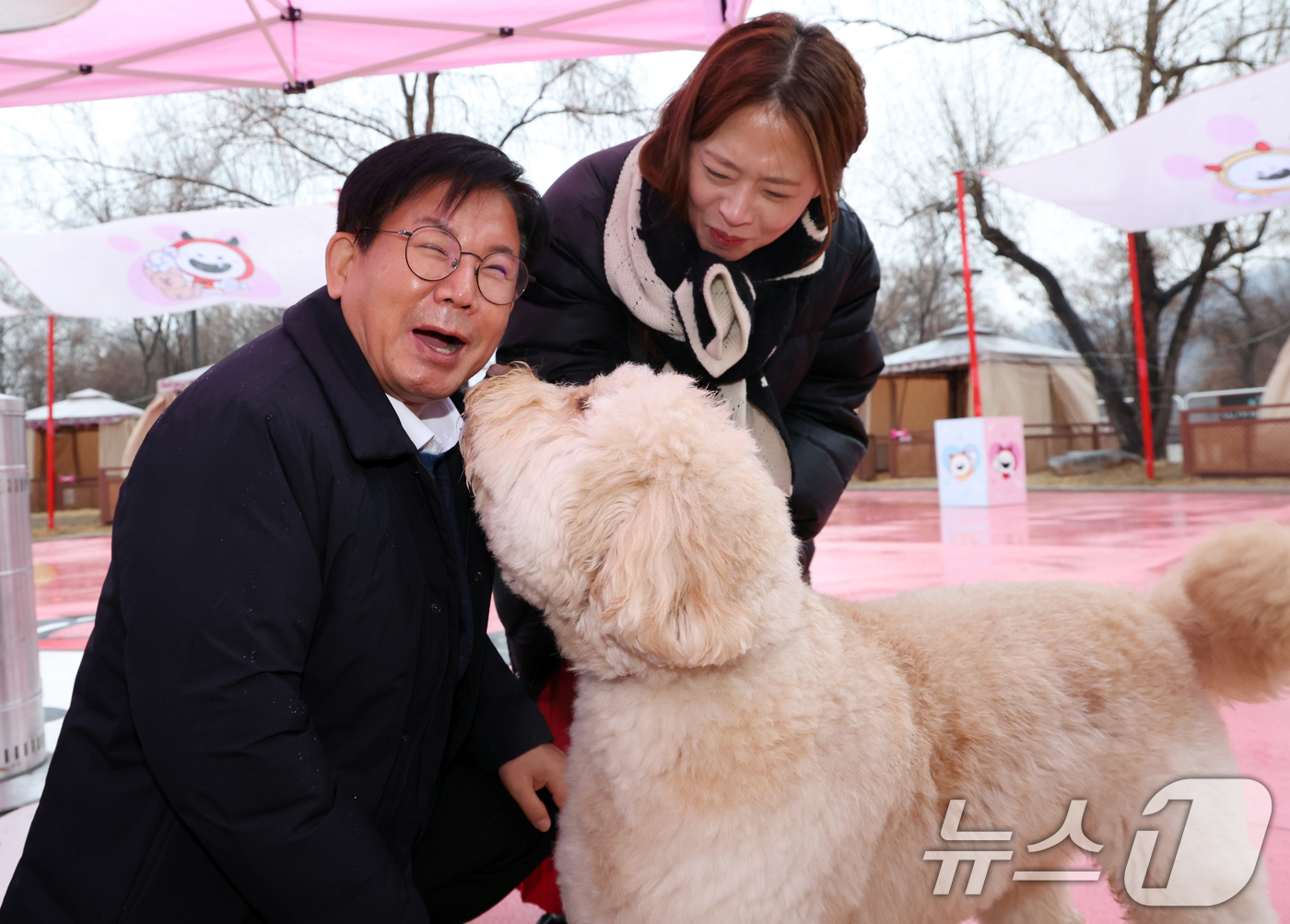(서울=뉴스1) 김명섭 기자 = 박강수 마포구청장이 23일 서울 마포구 마포반려동물캠핑장에서 열린 댕댕이 크리스마스 페스타 주간 펫세권 마포 홍보견 '바오' 데뷔 데이 행사에서 ' …