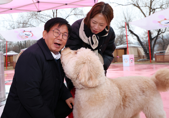 마포구, 댕댕이 크리스마스 페스타로 반려가족 맞이