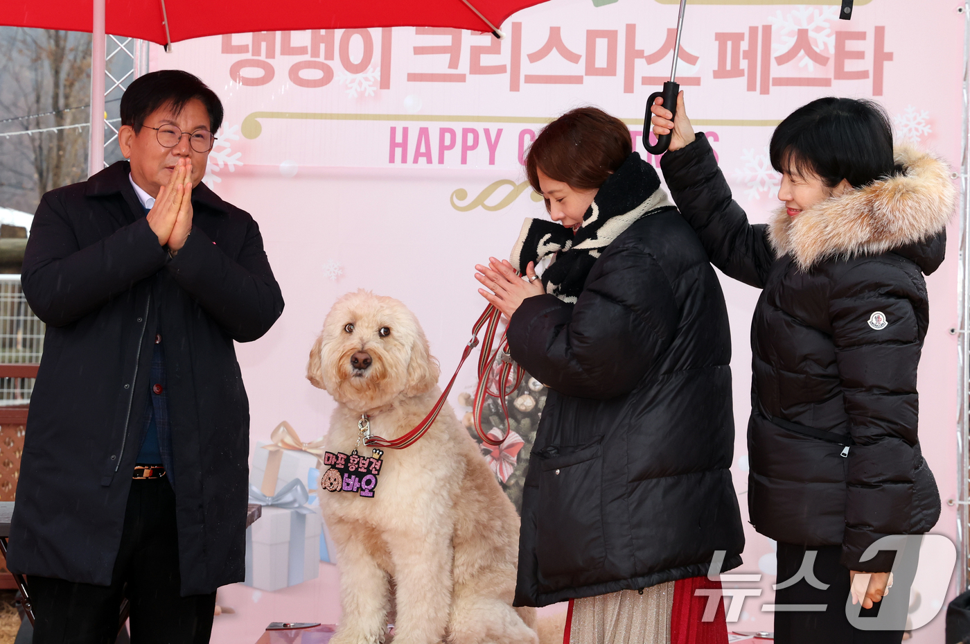 (서울=뉴스1) 김명섭 기자 = 박강수 마포구청장이 23일 서울 마포구 마포반려동물캠핑장에서 열린 댕댕이 크리스마스 페스타 주간 펫세권 마포 홍보견 '바오' 데뷔 데이 행사에서 ' …