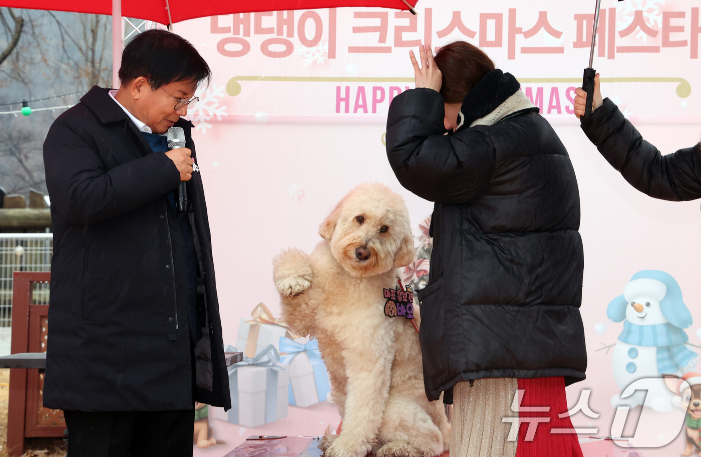 (서울=뉴스1) 김명섭 기자 = 박강수 마포구청장이 23일 서울 마포구 마포반려동물캠핑장에서 열린 댕댕이 크리스마스 페스타 주간 펫세권 마포 홍보견 '바오' 데뷔 데이 행사에서 ' …