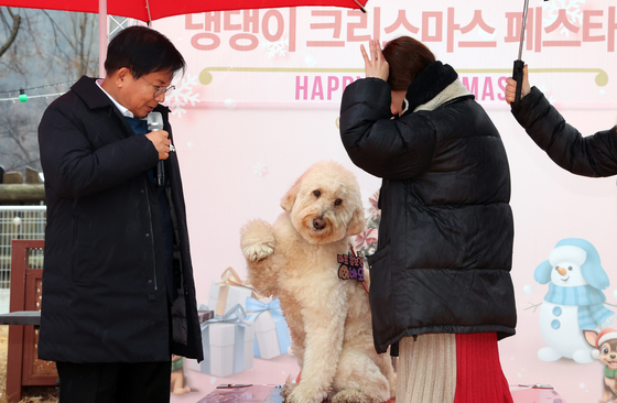 댕댕이 크리스마스 페스타…마포반려동물캠핑장