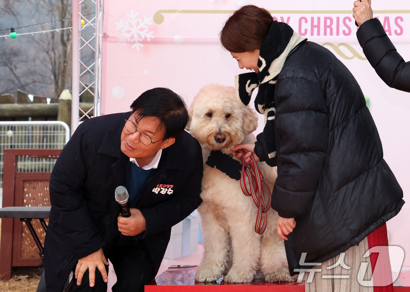 (서울=뉴스1) 김명섭 기자 = 박강수 마포구청장이 23일 서울 마포구 마포반려동물캠핑장에서 열린 댕댕이 크리스마스 페스타 주간 펫세권 마포 홍보견 '바오' 데뷔 데이 행사에서 ' …