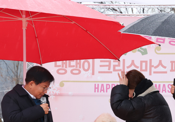 마포구, 홍보견 바오와 함께하는 크리스마스 행사