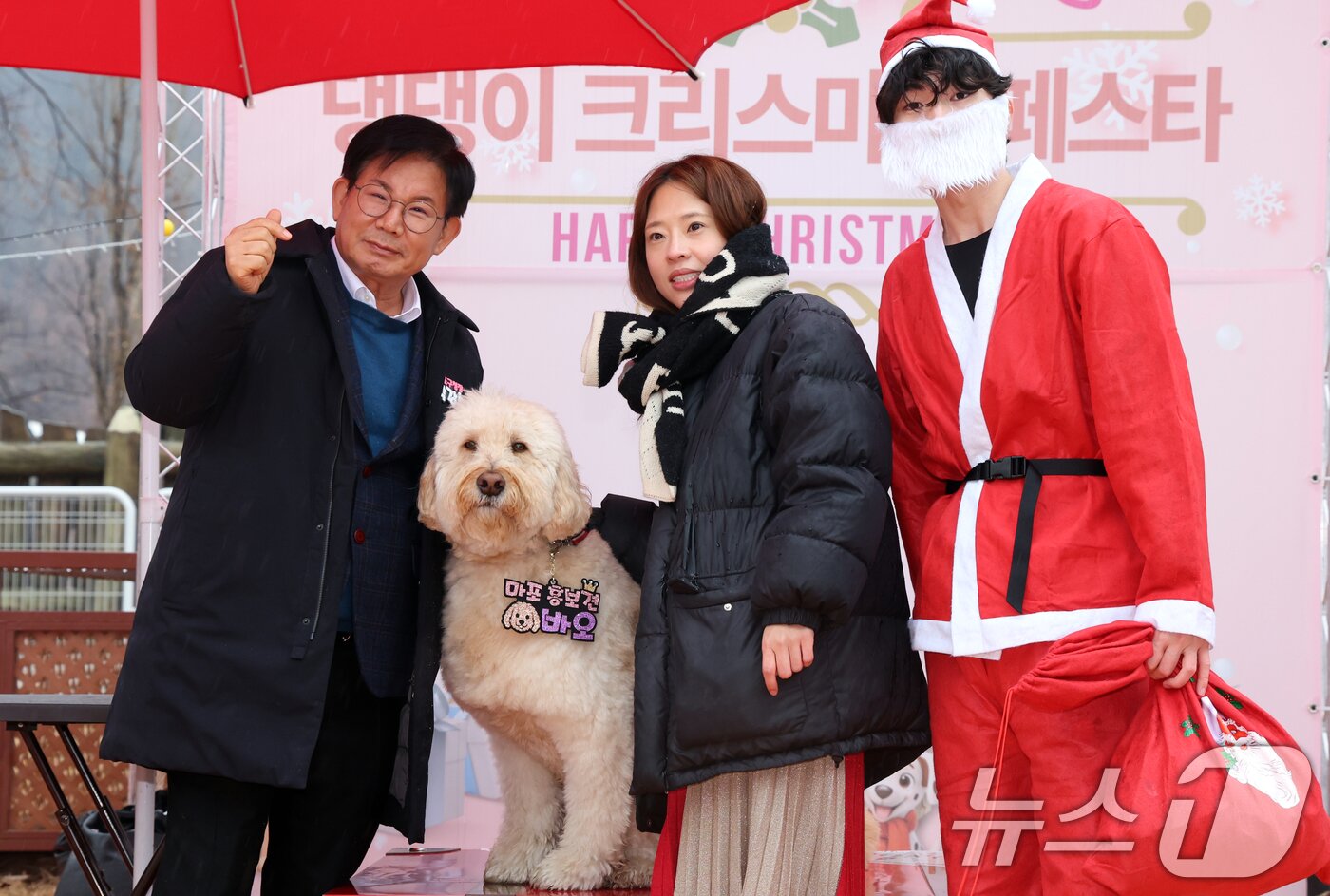 본문 이미지 - 박강수 마포구청장이 23일 서울 마포구 마포반려동물캠핑장에서 열린 댕댕이 크리스마스 페스타 주간 펫세권 마포 홍보견 '바오' 데뷔 데이 행사에서 '바오'와 교감하고 있다.  2025.12.23/뉴스1 ⓒ News1 김명섭 기자