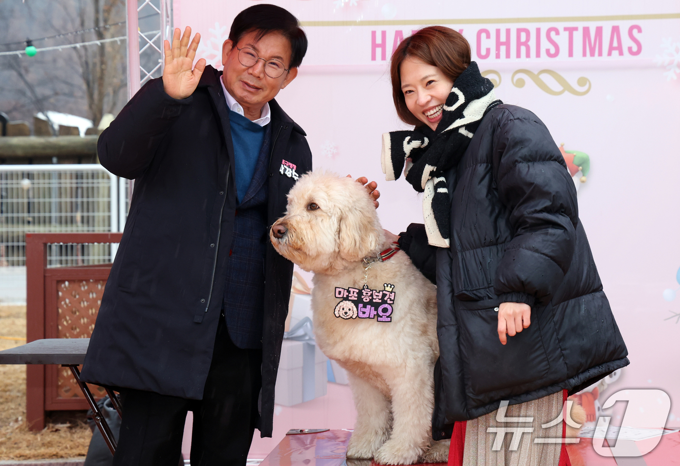 (서울=뉴스1) 김명섭 기자 = 박강수 마포구청장이 23일 서울 마포구 마포반려동물캠핑장에서 열린 댕댕이 크리스마스 페스타 주간 펫세권 마포 홍보견 '바오' 데뷔 데이 행사에서 ' …