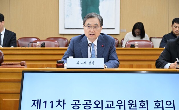 외교부, 공공외교위원회 개최…내년 종합시행계획 의결