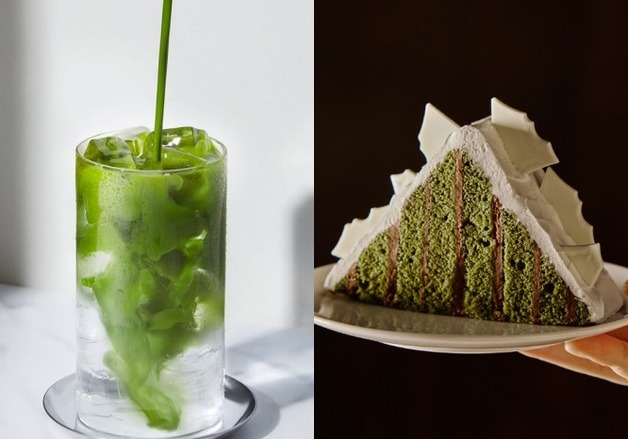 "없어서 못 팔아요"…제주산 말차 품귀에 식품업계 비상