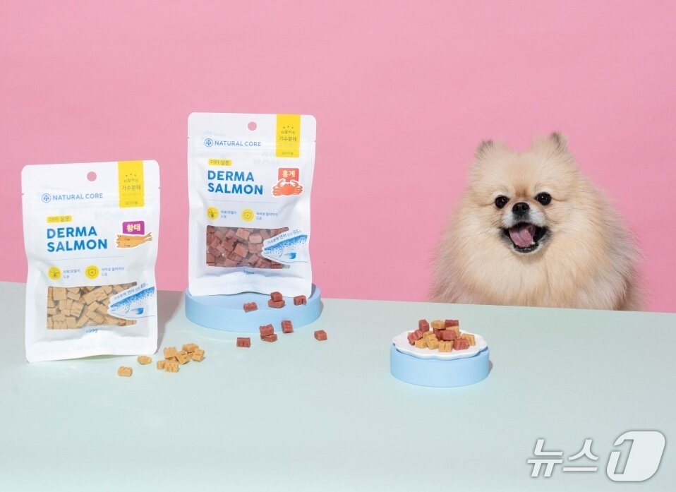 본문 이미지 - 신제품 모델이 된 구조견(네츄럴코어 제공). ⓒ 뉴스1