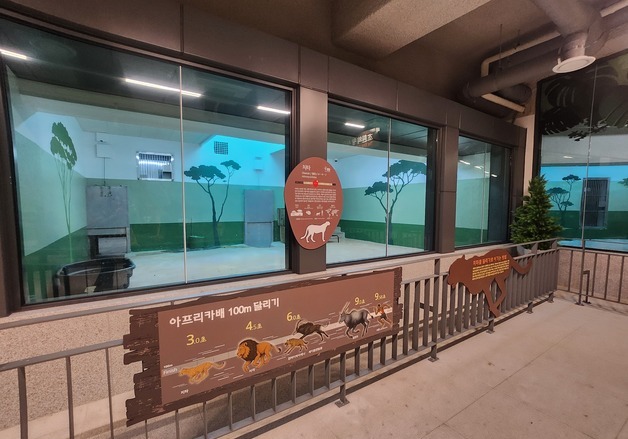 서울대공원 제3아프리카관 29일 재개관…'몰입형 전시' 강화