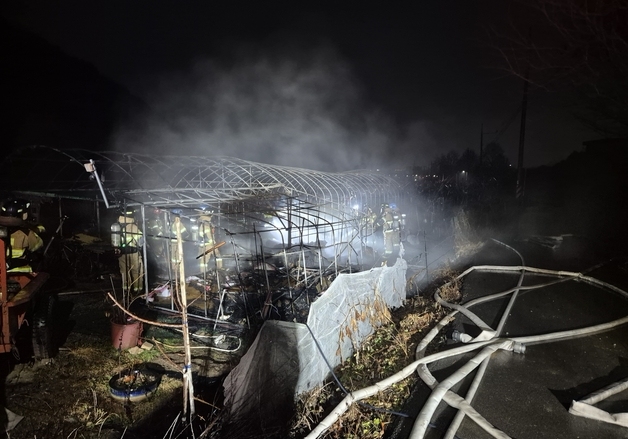 새벽 대구 수성구 비닐하우스 화재로 잠자던 부부 숨져(종합)