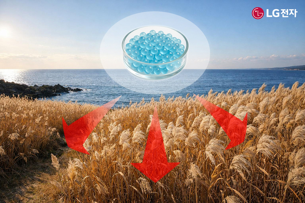 LG전자, 부산시와 해양 생태계 복원 돕는 '마린 글라스' 사업화