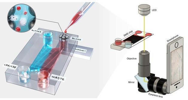 한양대, 스마트폰 활용한 면역세포 정밀 분석 기술 개발