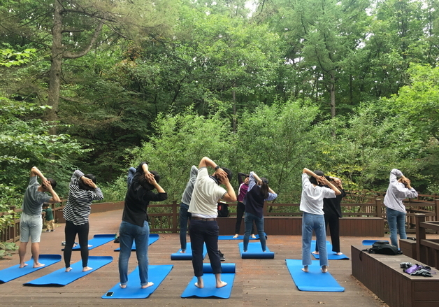 산림복지진흥원 치유 프로그램, 정신건강 안전망 역할 확대