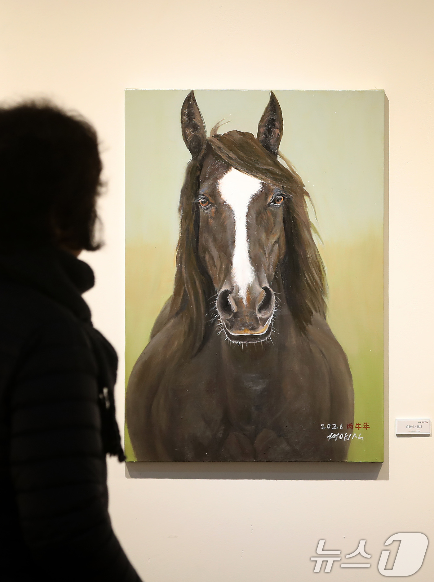 (대구=뉴스1) 공정식 기자 = 24일 대구 동구 아양아트센터에서 개막한 '2026 병오년(丙午年) 새해맞이 말(馬) 그림전'을 찾은 시민들이 역동적인 '붉은 말'의 해를 맞아 더 …