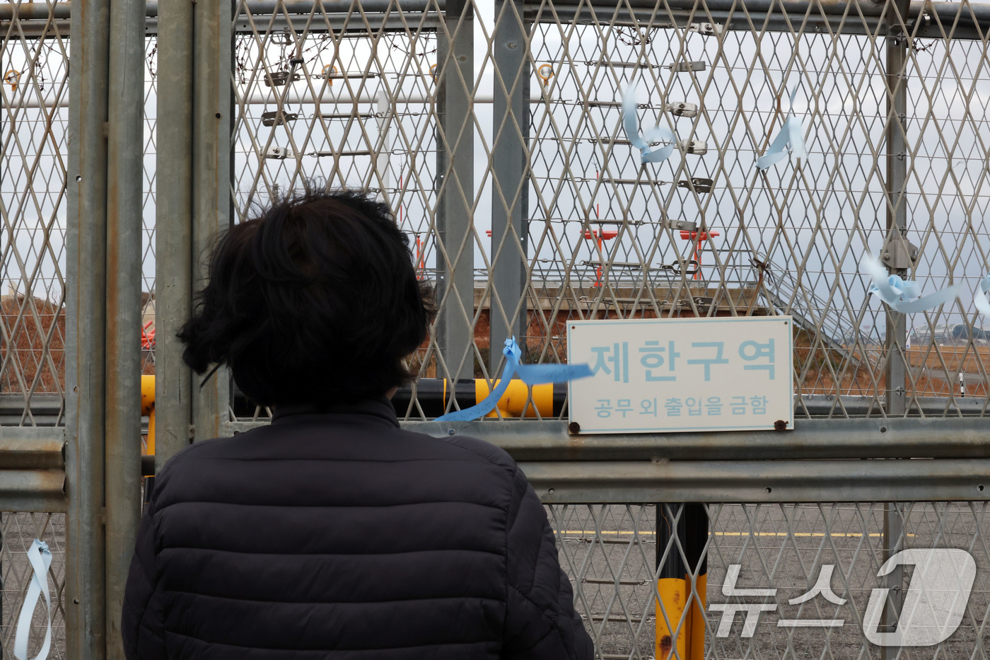 (무안=뉴스1) 박지현 기자 = 12·29 제주항공 여객기 참사 1주기를 앞둔 24일 전남 무안국제공항에서 유가족들이 활주로 내 로컬라이저를 바라보며 눈물흘리고 있다. 2025.1 …