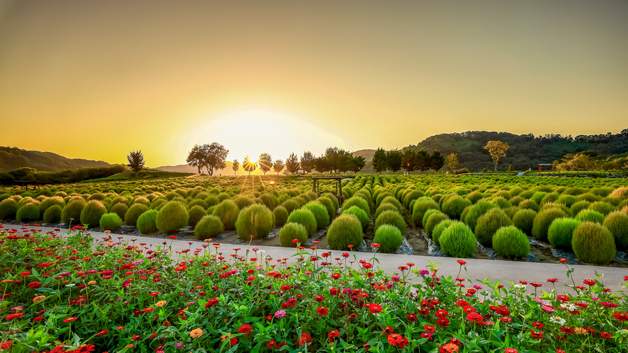 연천군 '임진강 댑싸리 정원', 접경지역 발전 국무총리 표창