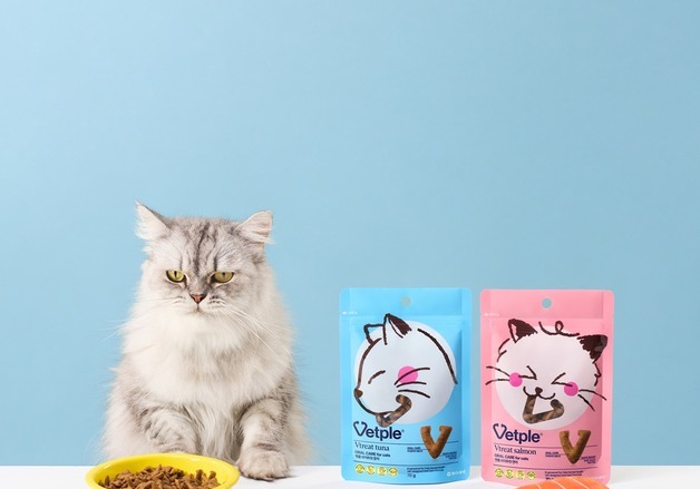 양치질 쉽지 않은 고양이 구강 동아제약 '벳플 브리트릿'으로 해결