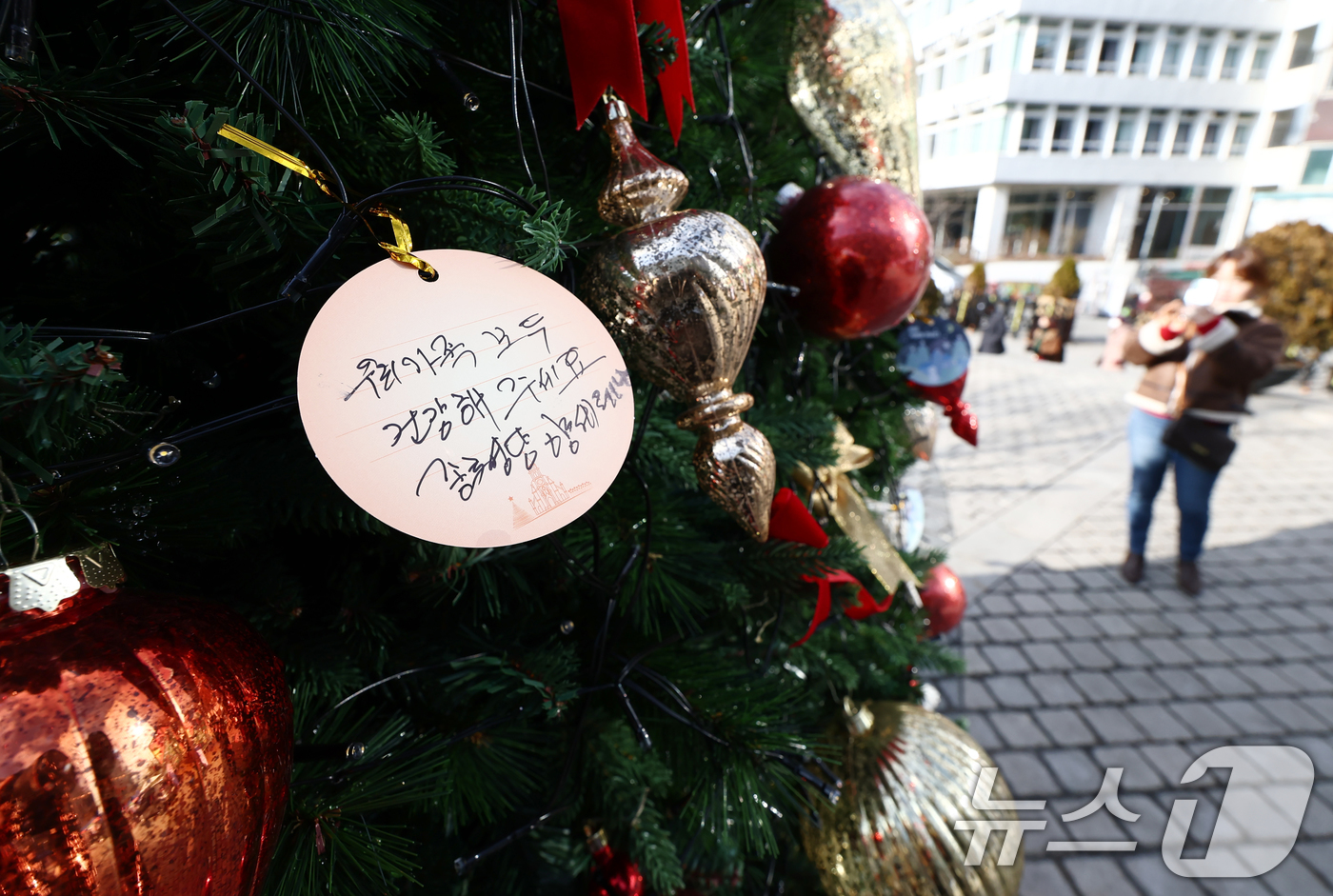 (서울=뉴스1) 김민지 기자 = 크리스마스 이브인 24일 오후 서울 중구 명동성당 앞에서 놓인 크리스마스 트리에 시민들의 소원이 담긴 메모가 걸려 있다. 2025.12.24/뉴스1 …