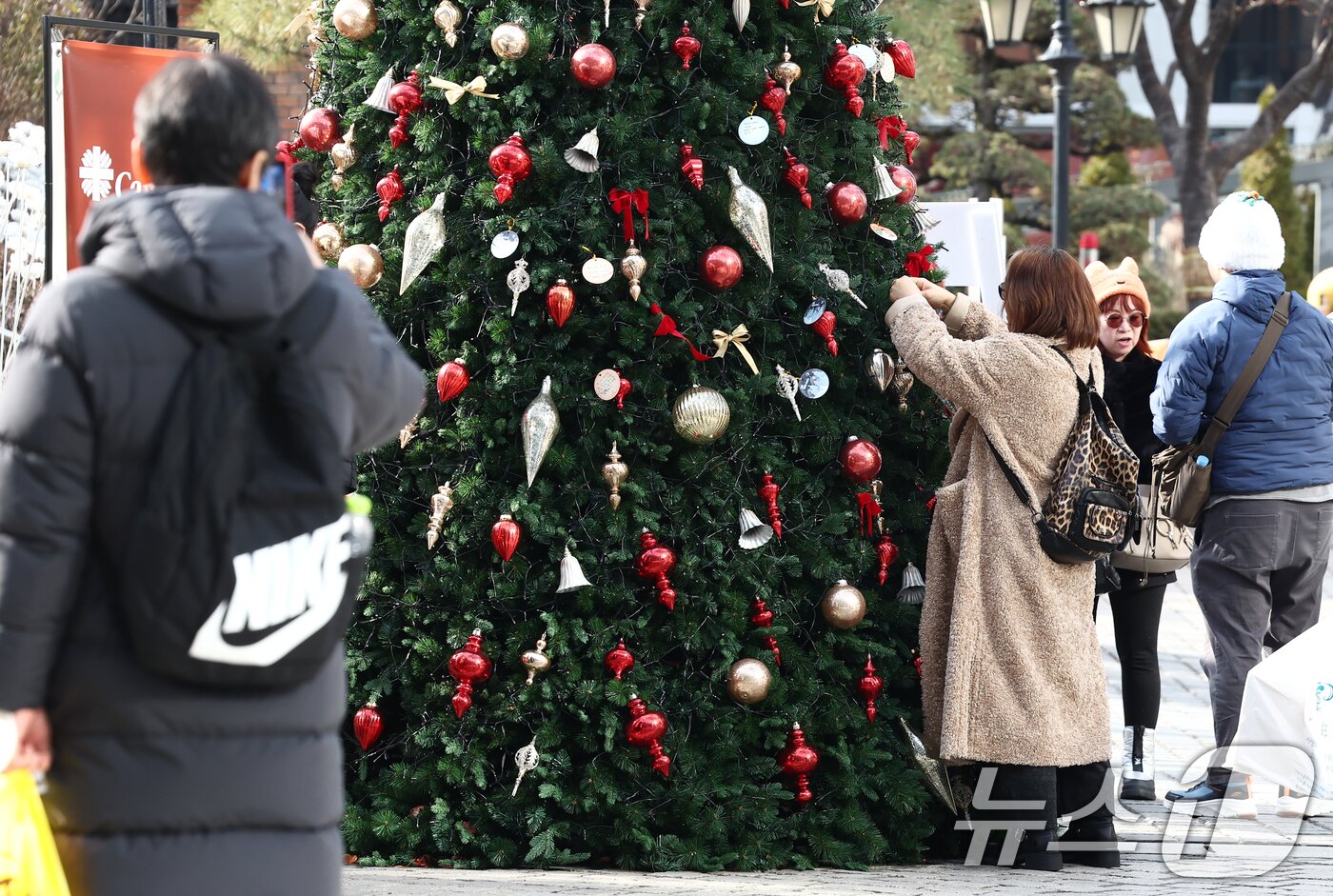 본문 이미지 - 크리스마스 이브인 24일 오후 서울 중구 명동성당 앞에서 놓인 한 시민이 크리스마스 트리에 소원을 적은 종이를 걸고 있다. 2025.12.24/뉴스1 ⓒ News1 김민지 기자